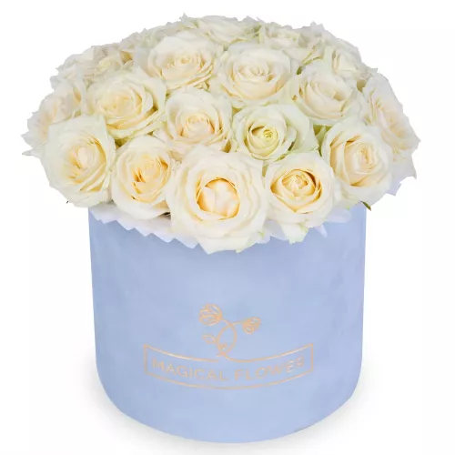 Букет из 25 белых роз premium в серой бархатной шляпной коробке