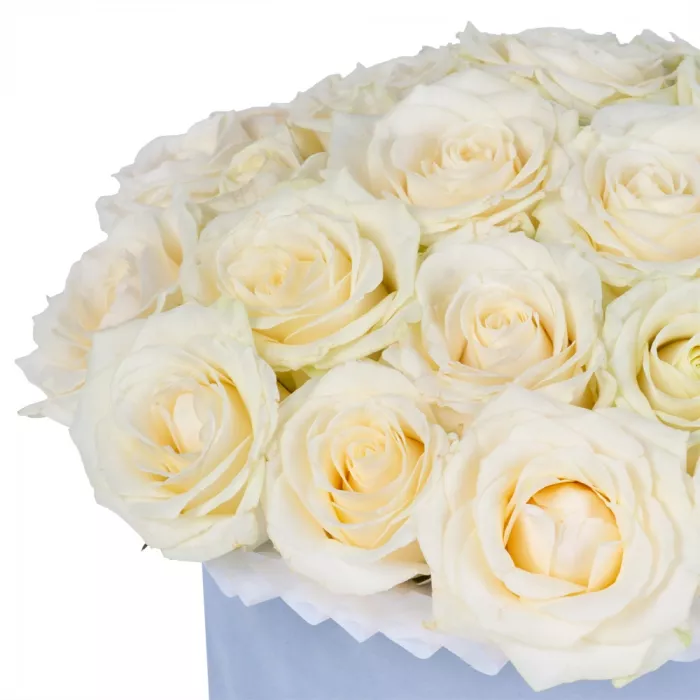 Букет из 25 белых роз premium в серой бархатной шляпной коробке Букет из 25 белых роз premium в серой бархатной шляпной коробке