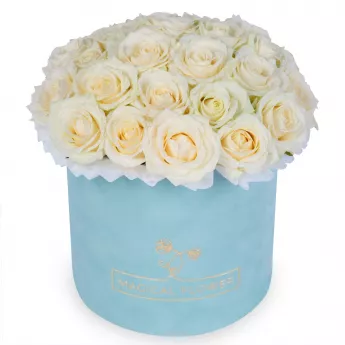 25 белых роз premium в зеленой бархатной шляпной коробке