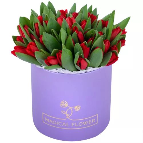 Весенний букет 51 красный тюльпан в фиолетовой шляпной коробке