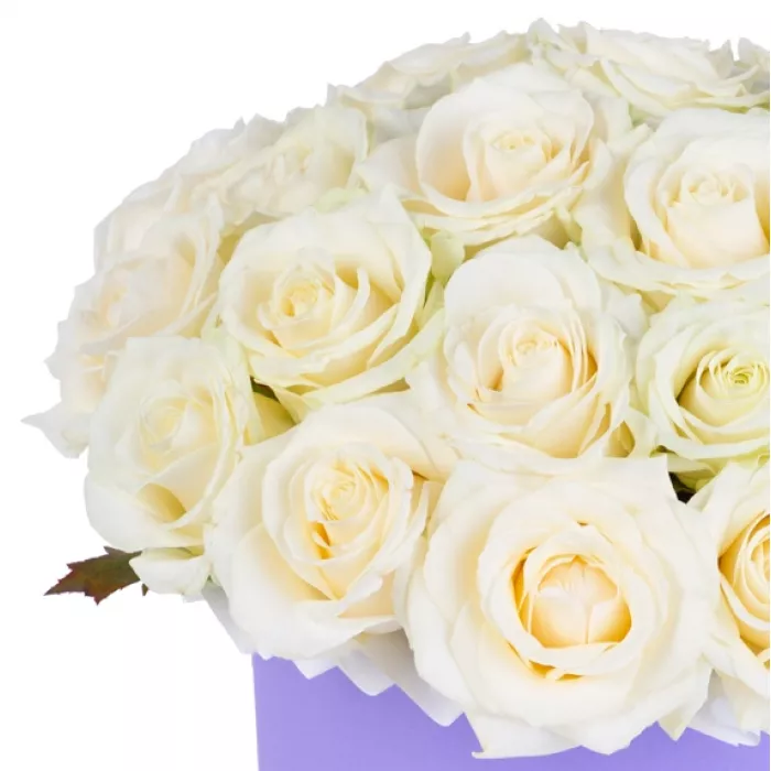 Букет из 25 белых роз premium в фиолетовой шляпной коробке
