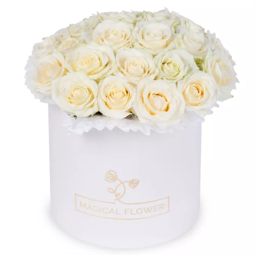 25 белых роз premium в кремовой шляпной коробке