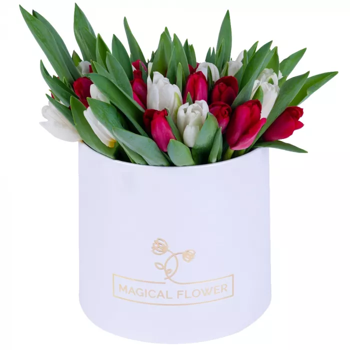 51 Разноцветный тюльпан в белой шляпной коробке 51 Разноцветный тюльпан в белой шляпной коробке
