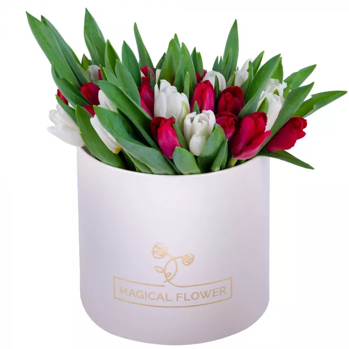 51 Разноцветный тюльпан в кремовой шляпной коробке