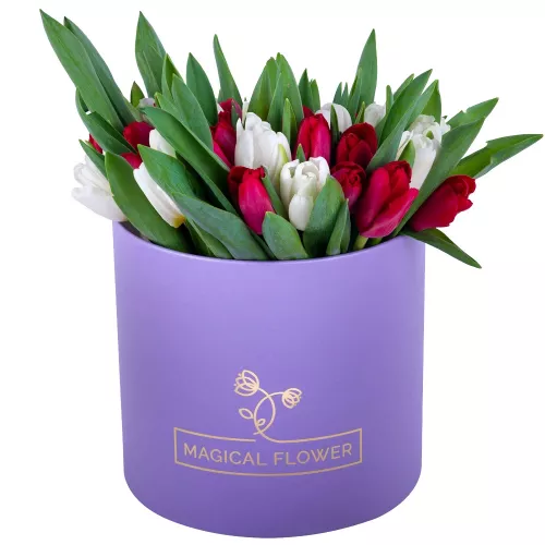 51 Разноцветный тюльпан в фиолетовой шляпной коробке