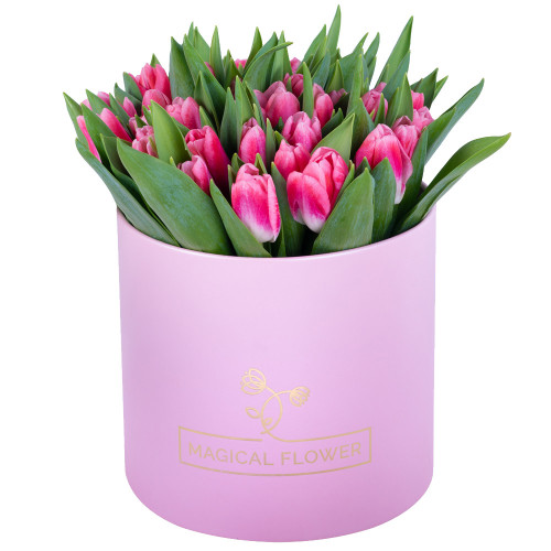 51 Бело-малиновый тюльпан в розовой шляпной коробке