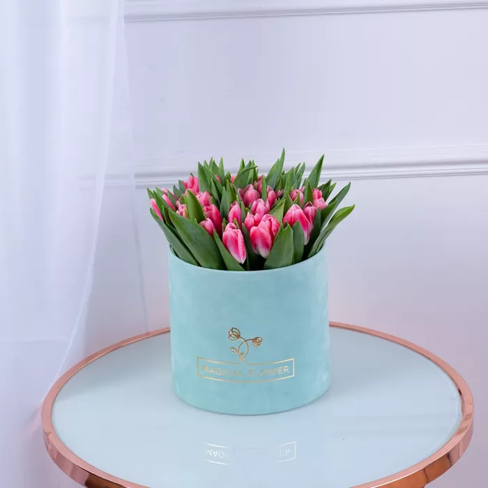 51 Бело-малиновый тюльпан в зеленой бархатной шляпной коробке