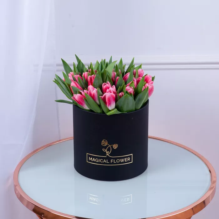 51 Бело-малиновый тюльпан в черной шляпной коробке