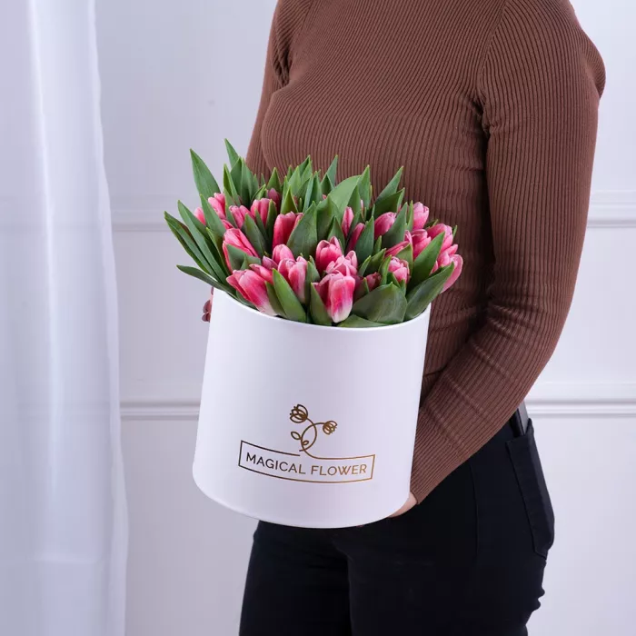 51 Бело-малиновый тюльпан в белой шляпной коробке