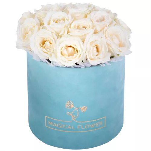 Букет из 19 белых роз premium в зеленой бархатной шляпной коробке