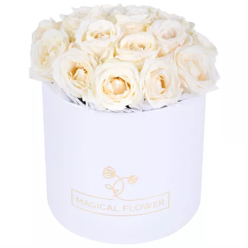 Букет из 19 белых роз premium в белой шляпной коробке