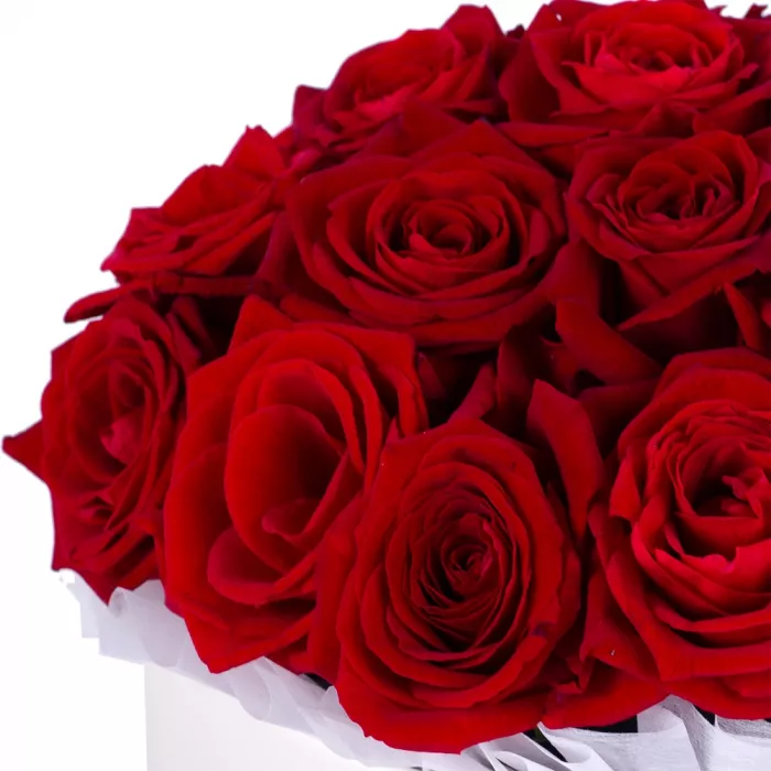 Букет из 19 красных роз premium в кремовой шляпной коробке