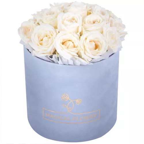 Букет из 19 белых роз premium в серой бархатной шляпной коробке
