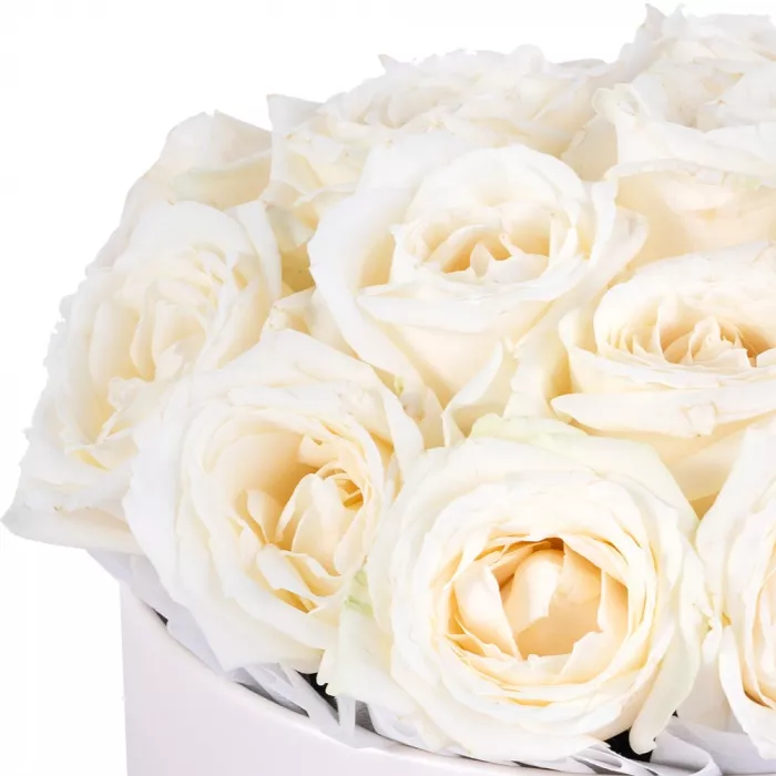 Букет из 19 белых роз premium в кремовой шляпной коробке