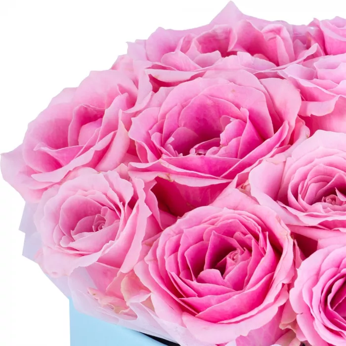 Букет из 19 розовых роз premium в голубой шляпной коробке