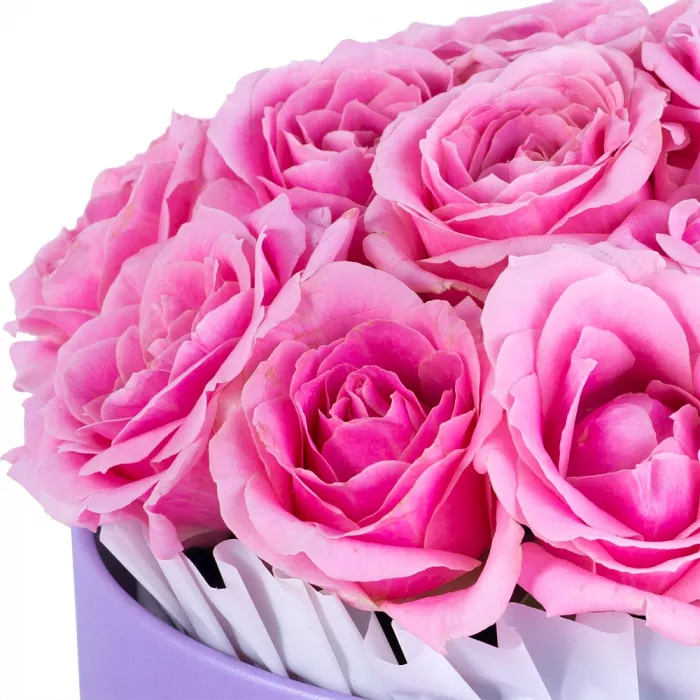 Букет из 15 розовых роз premium в фиолетовой шляпной коробке