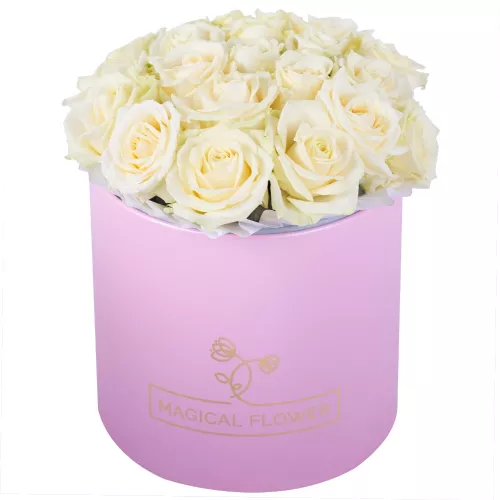 Букет из 21 белой розы premium в розовой шляпной коробке