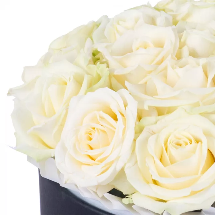 Букет из 21 белой розы premium в черной шляпной коробке