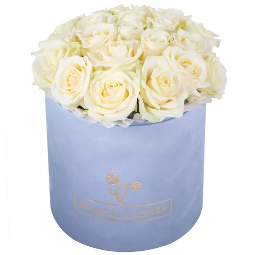 Букет из 21 белой розы premium в серой бархатной шляпной коробке
