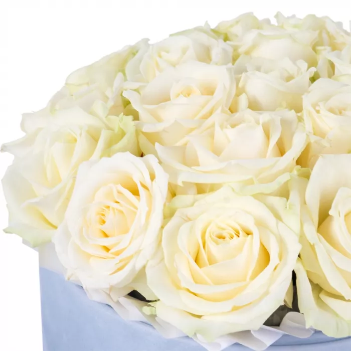 Букет из 21 белой розы premium в серой бархатной шляпной коробке