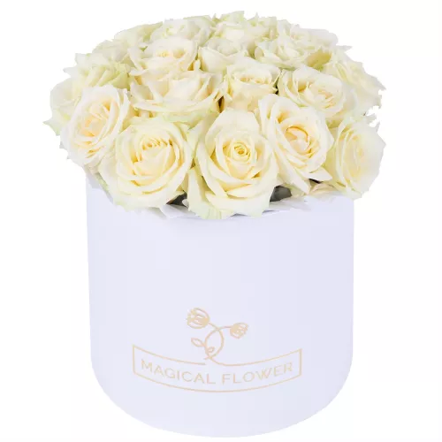 Букет из 21 белой розы premium в белой шляпной коробке