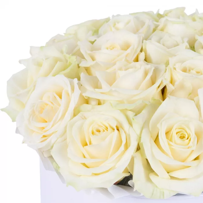 Букет из 21 белой розы premium в белой шляпной коробке