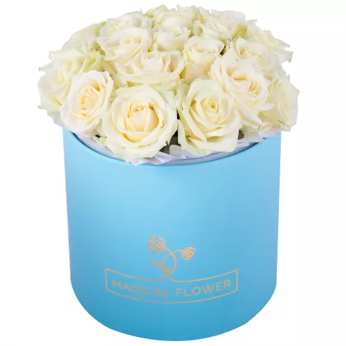 Авторская композиция из 21 белой розы premium в голубой шляпной коробке