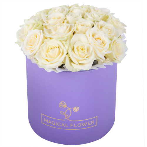 Букет из 21 белой розы premium в фиолетовой шляпной коробке
