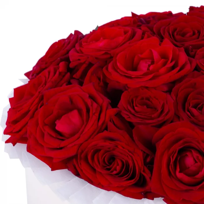 Букет из 21 красной розы premium в кремовой шляпной коробке