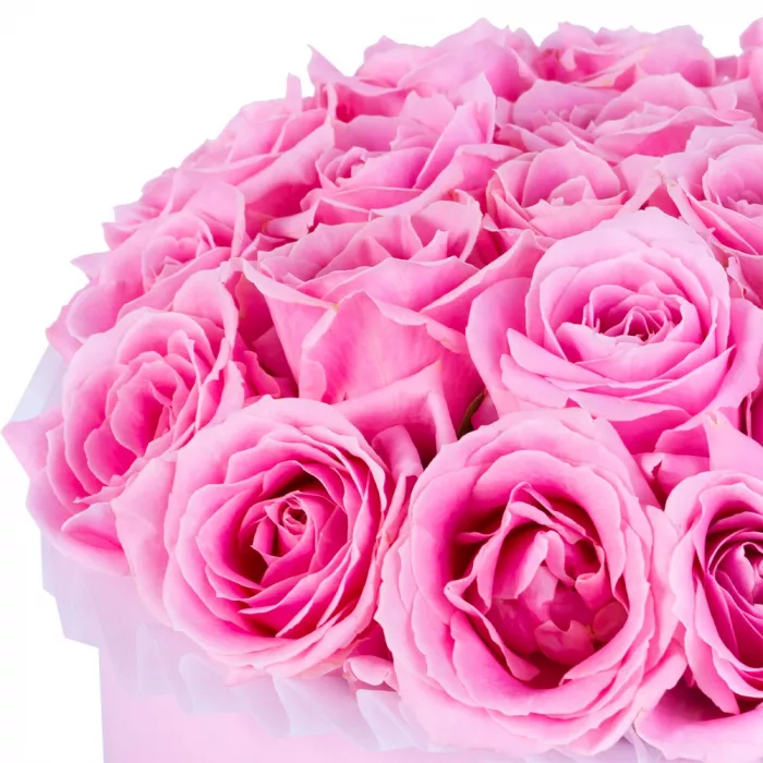 Букет из 21 розовой розы premium в розовой шляпной коробке