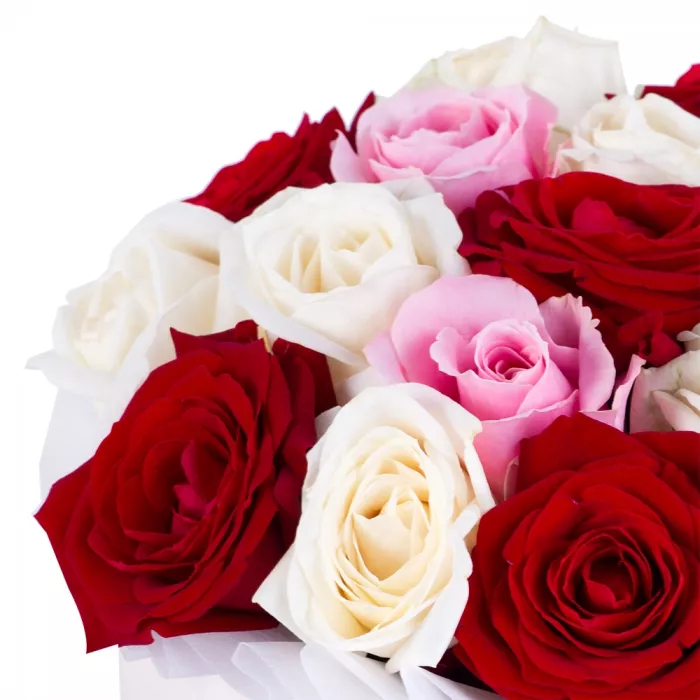 Букет из 19 разноцветных роз premium в кремовой шляпной коробке
