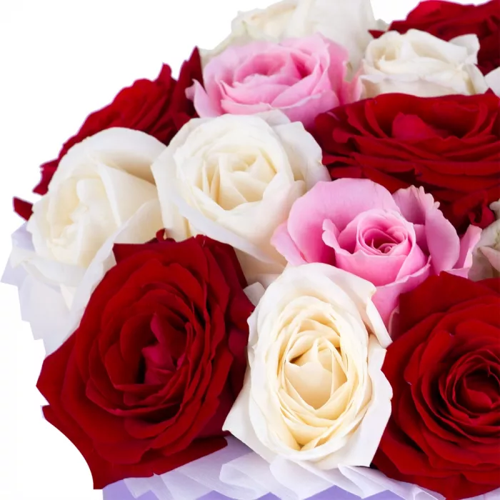 Букет из 19 разноцветных роз premium в фиолетовой шляпной коробке