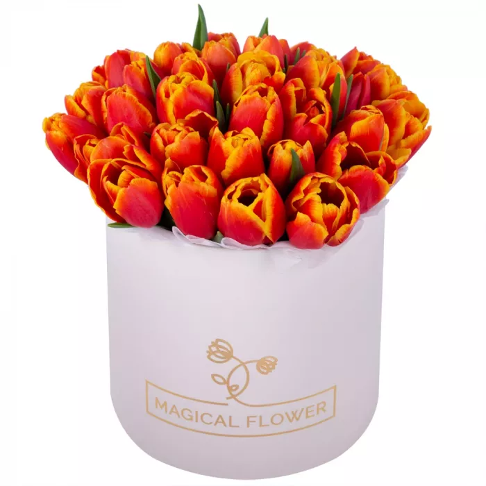 35 огненных тюльпан в кремовой шляпной коробке