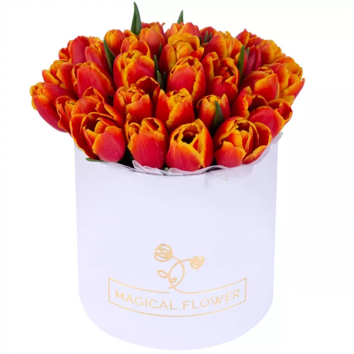 35 огненных тюльпан в белой шляпной коробке