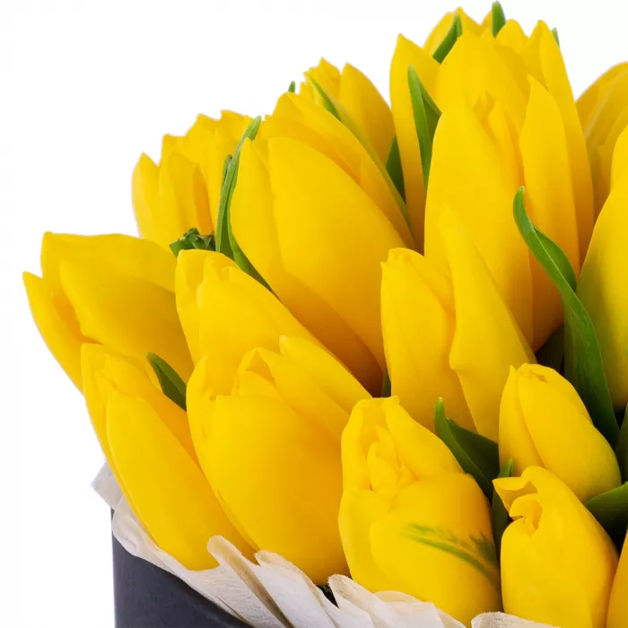 35 желтых тюльпан в черной шляпной коробке