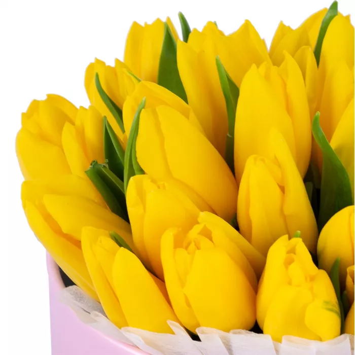35 желтых тюльпан в розовой шляпной коробке