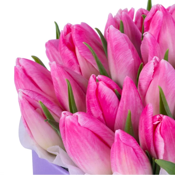 35 розовых тюльпан в фиолетовой шляпной коробке