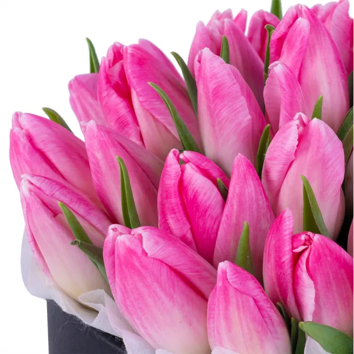 35 розовых тюльпан в черной шляпной коробке