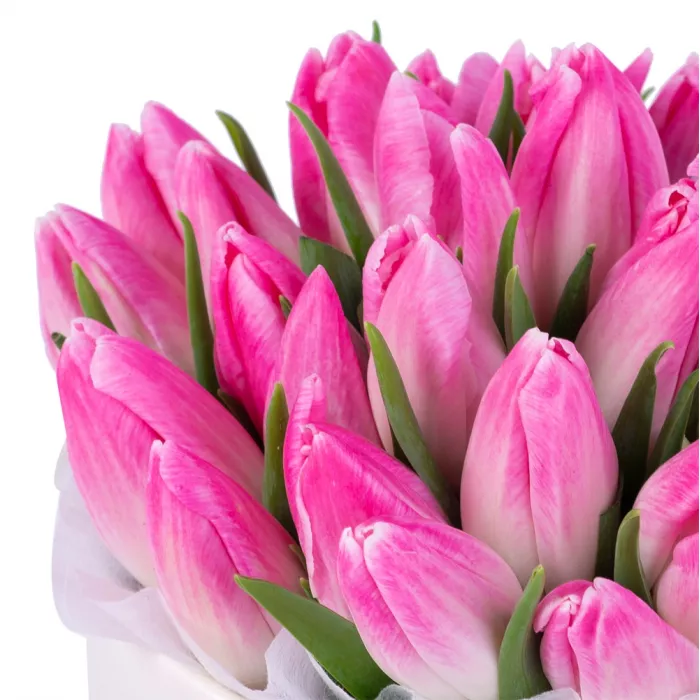 35 розовых тюльпан в кремовой шляпной коробке