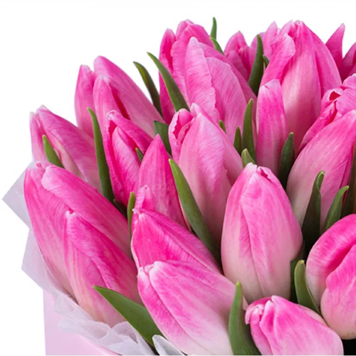 35 розовых тюльпан в розовой шляпной коробке