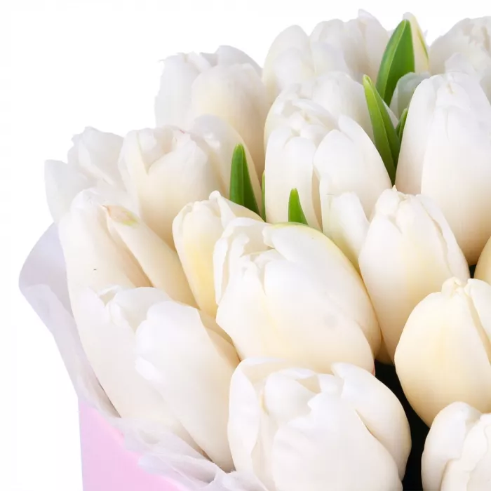 35 белых тюльпан в розовой шляпной коробке
