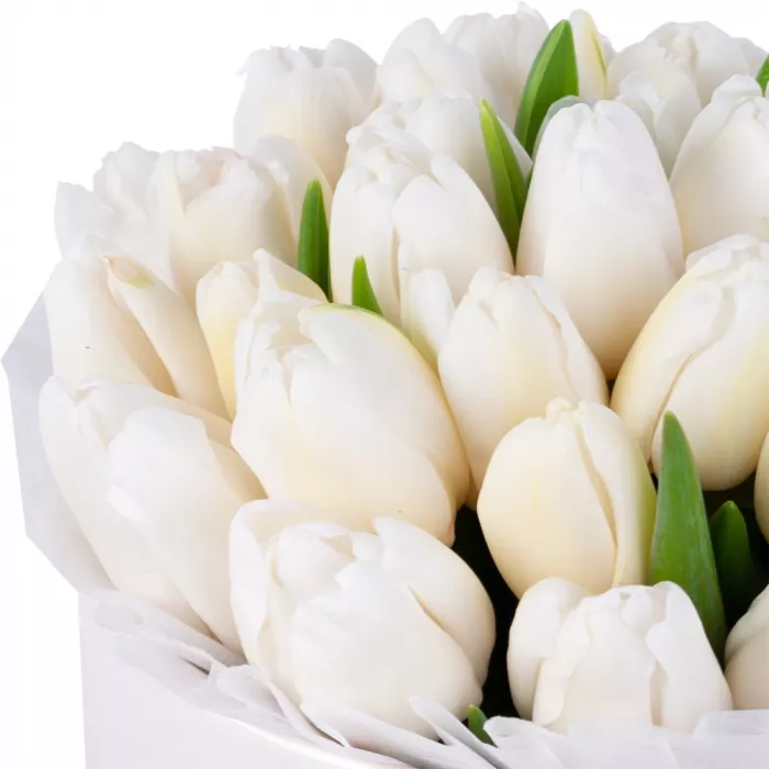 35 белых тюльпан в кремовой шляпной коробке