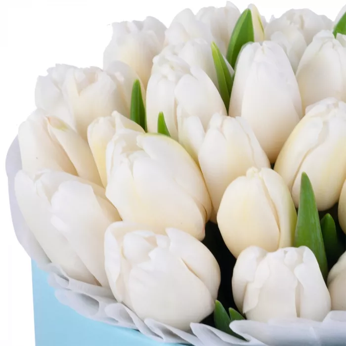 35 белых тюльпан в голубой шляпной коробке