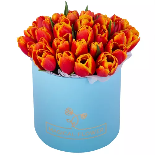 35 огненных тюльпан в голубой шляпной коробке