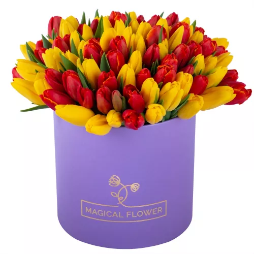 Букет из 101 красного и желтого тюльпана в фиолетовой шляпной коробке