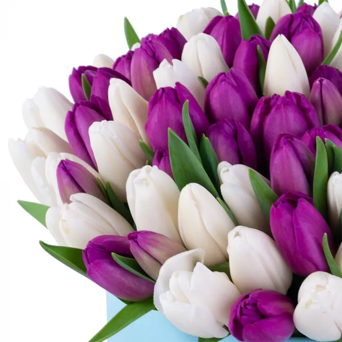 101 тюльпан микс в голубой шляпной коробке