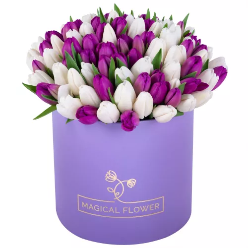 101 разноцветный тюльпан в фиолетовой шляпной коробке