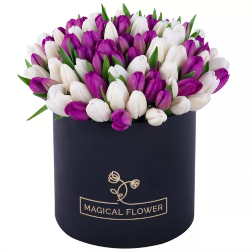 101 разноцветный тюльпан в черной шляпной коробке на юбилей 70 лет