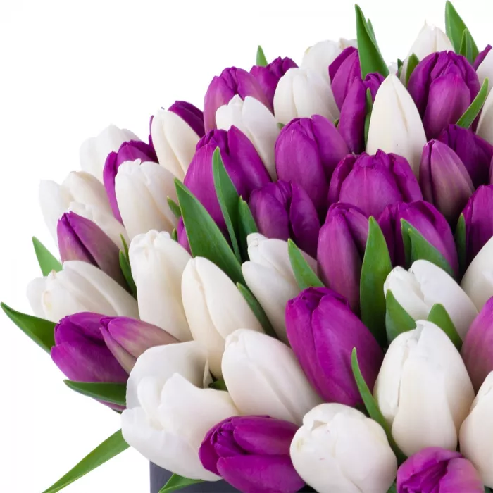 101 разноцветный тюльпан в черной шляпной коробке