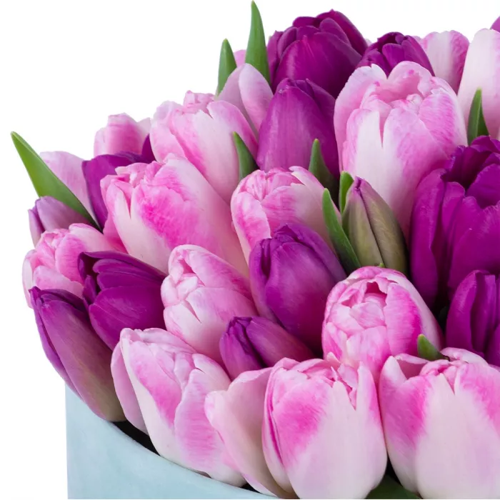 Разноцветный 51 тюльпан в зеленой бархатной шляпной коробке